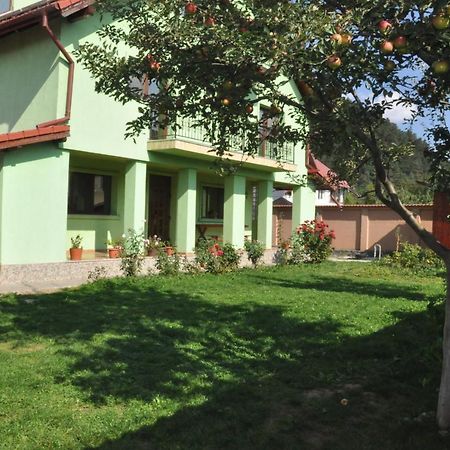 Rîşnov Vilman House酒店 外观 照片