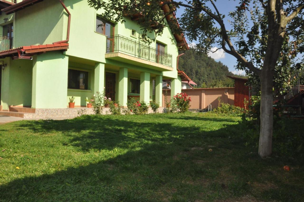 Rîşnov Vilman House酒店 外观 照片
