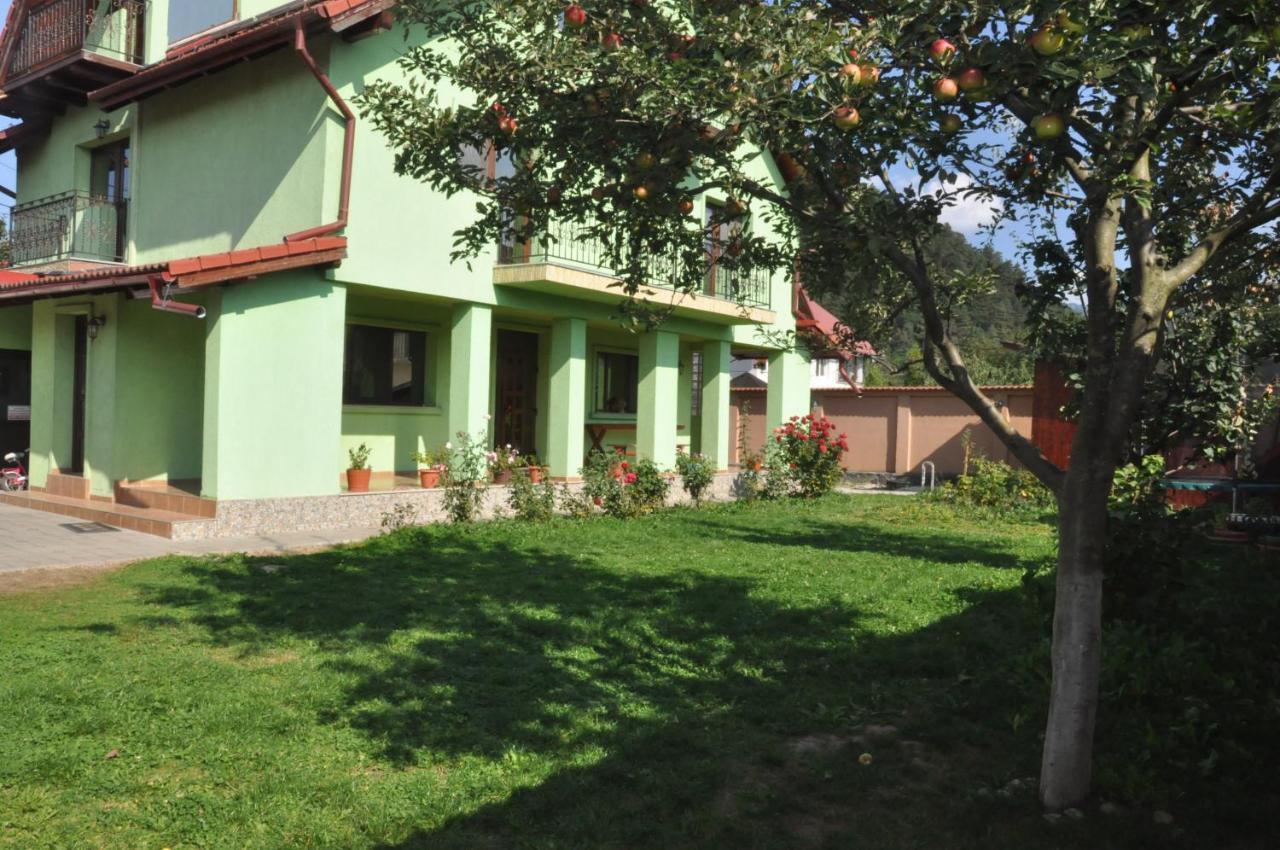 Rîşnov Vilman House酒店 外观 照片